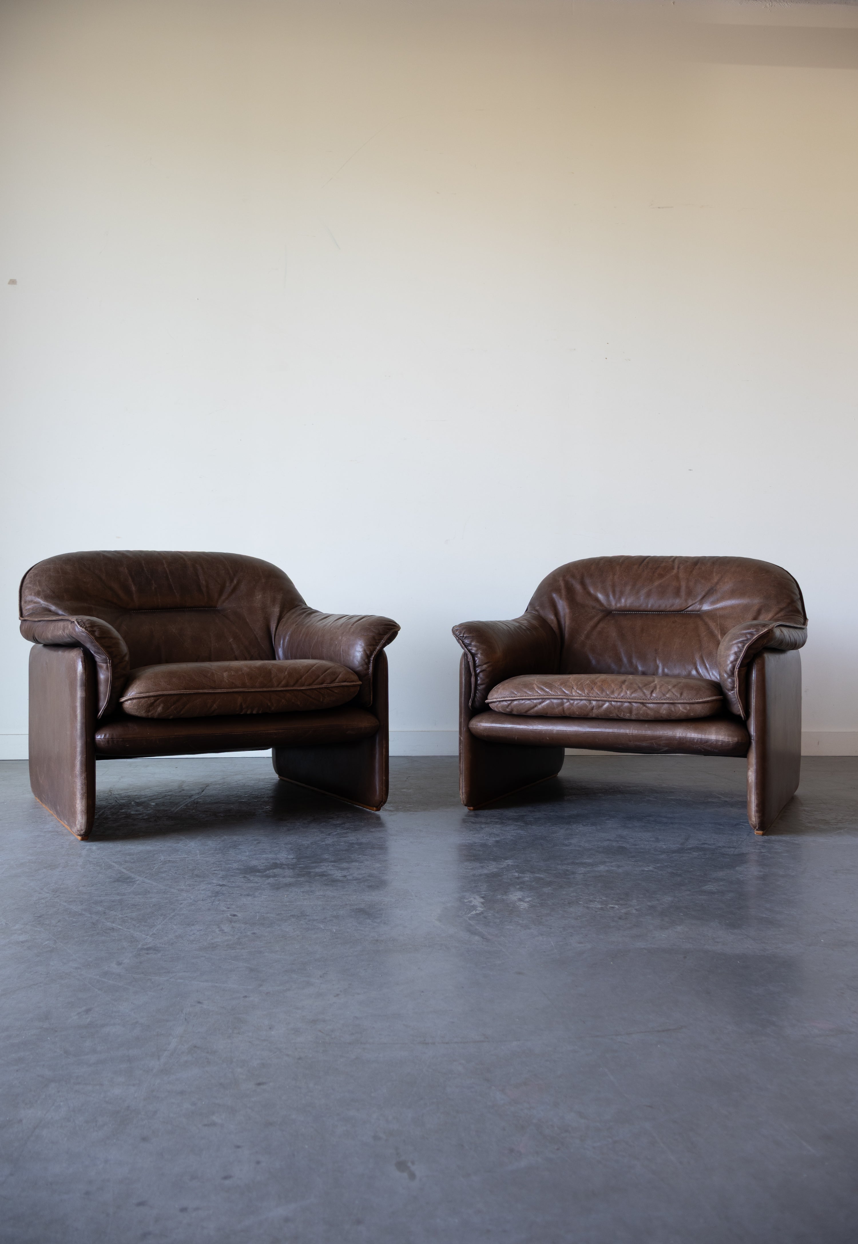 DS-16 Leather Lounge Chairs by De Sede